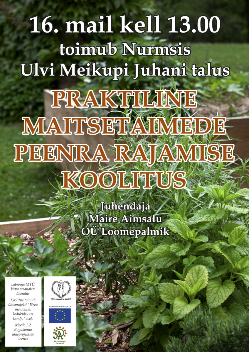 maanaiste_koolitus_peenar
